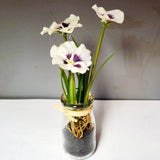 <p>Put a little vase of happiness out!&nbsp; These white pansies have a purple center and look like you just went out and picked them and tucked them into the vase ~ how can you resist?!!</p> <p>Approximately 8.5" H x&nbsp; 1.75" D (with flowers 3"D)</p>
