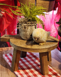 This distressed wooden stool is perfect for setting a plant, small lamp, or cute vignette on!  If you need to give something some height to your decor, this little stool will help you do just that!  Round top.  4.5" H x 9.5" L, 7.75"D