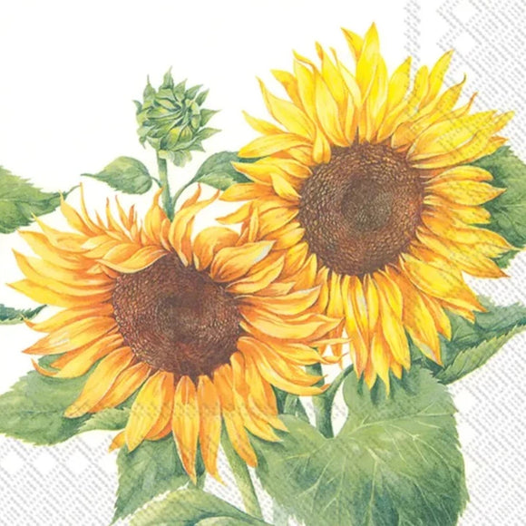 These sunflower cocktail napkins will bring a POP of color to your table! Three sunflowers (two open, one closed) and their green leaves grace the bright white background.  Materials - paper  20 per pkg: 3 ply - 5 x 5 in.