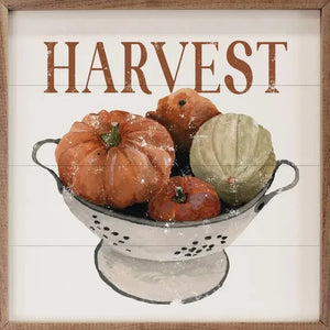 A white colander filled with orange and white pumpkins sits below the word "Harvest" in an orange block font.  The perfect fall decor for your farmhouse!