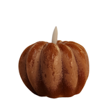 Make it a beautiful fall with one of our LED pumpkin candles! It's a rich burnt orange color that has a white frosted distressed finish. The LED light can be turned on, off or can be put on a timer to come on at the same time the next day (we love this feature!!)&nbsp;

Wax

Requires 2 AA batteries

Approximately 3" H (4" with flame) x 5" Dia&nbsp;