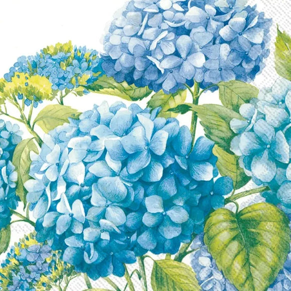 Be the Hostess with the Mostess at your next gathering with these darling cocktail napkins, which feature beautiful shades of blue hydrangeas!   Materials - paper   20 per pkg: 3 ply - 5 x 5 in.