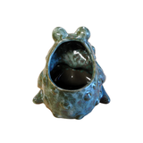 We adore this charming green pottery frog planter! It features an opening in the back, allowing you to place a plant in it or store any treasures you need a spot for!

Frog is approximately 4.25" H x 4.25" W x 3.5" D