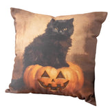 Bring a little Halloween magic to your home this year with this dark and moody pillow with a black cat perched on a Jack O' Lantern! The Jack O' Lantern has been emboridered in an accent brown thread all around his eyes, nose and mouth for a fun detail.

18" H x 18" W
