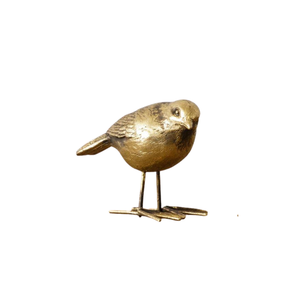This antiqued brass bird will be a stunning addition to your home!

2.5 H x 3.5 W x 1.5 D

Resin & Iron