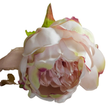 This beautiful peachy pink rose that will be perfect paired with other silk flowers, or pretty in your favorite vase! Some of the petals have yellow and dark pink tips.

10.5" L&nbsp; Bloom is approximately 3.5" W