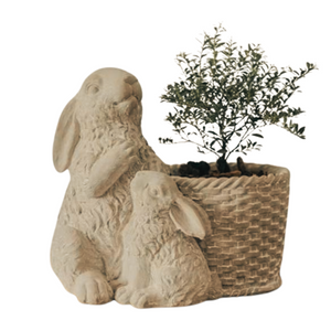 Talk about adorable! This momma and baby bunny are sitting by a basket that is ready for you to pop in your favorite plant! Use indoors or outside. If used outside, natural color changes will occur in the concrete, including fungus growth.  The finish will vary. The basket has a drain hole.  8.5" x 6" x8"H