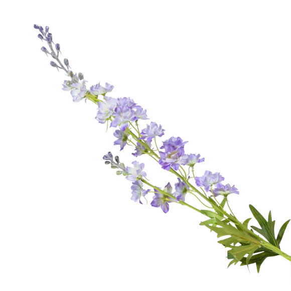 lavender birth flower Lavender Larkspur Stem – The Summer Kitchen