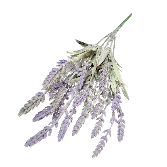 We just love purple lavender - stick this gorgeous bunch in a vase or basket alone or with some other flowers for a beautiful display!

8