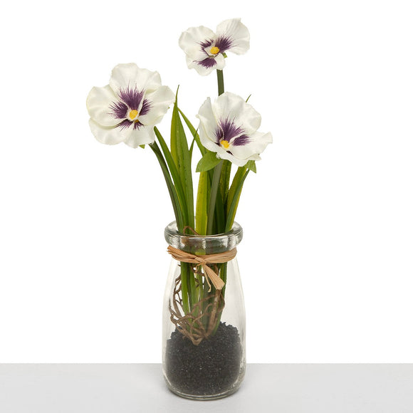 <p>Put a little vase of happiness out!  These white pansies have a purple center and look like you just went out and picked them and tucked them into the vase ~ how can you resist?!!</p> <p>Approximately 8.5