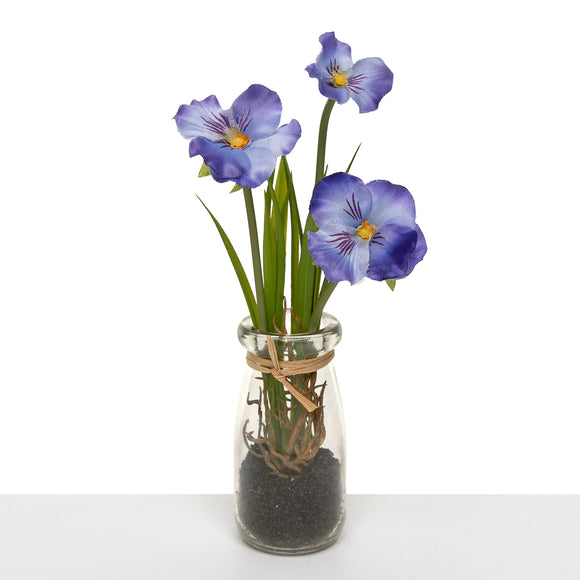 Glass Vase With Flowers: Blue/Purple Pansy