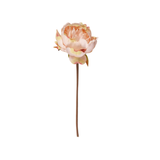 This beautiful peachy pink rose that will be perfect paired with other silk flowers, or pretty in your favorite vase! Some of the petals have yellow and dark pink tips.

10.5" L&nbsp; Bloom is approximately 3.5" W