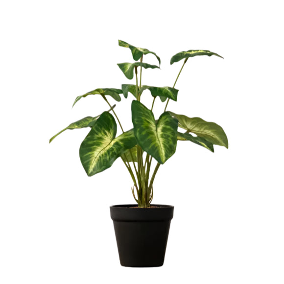 plant pot synonym Potted Syngonium Faux Plant (Regular)