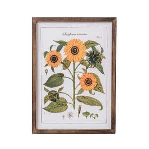 <p><span data-mce-fragment="1">Three bright sunflowers face forward to brighten your look on this botanical print.&nbsp; "Sunflower helianthus" Fig. 1 is printed above the sunflower stalk in the center.&nbsp; Below are different figures of the flowers at different stages in its life.&nbsp; If your looking for a picture to bring a little sunshine and happiness to a spot in your home, this is it!</span></p> <p><span>16.5 H x 11.5 W x 0.75 D</span></p> <p><span>Wood, Canvas</span></p>