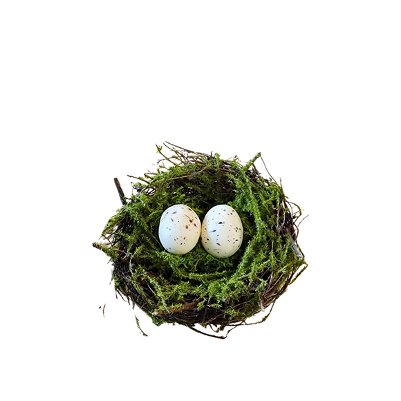 We love tucking a little birds nest into our decor to bring the outside in! This next is made of dark brown twigs with green moss and two speckled cream eggs inside. 

Each nest is a little different in size. Average size is approximately 5