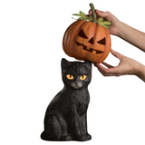 This friendly vintage inspired black cat is hiding his head inside a very scary paper mâché Jack O' Lantern. This Jack O'Lantern is orange with cut out eyes, nose, and mouth, and can be removed from the cats head.

Light not included