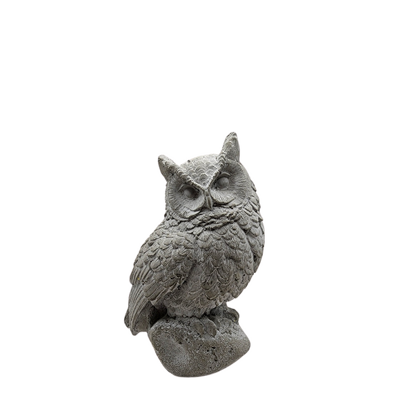 Bring a little whimsey to your outdoors or your indoor decor this year with this cement owl!

6