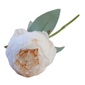 Brighten up your day with a beautiful&nbsp; silk champagne colored peony!&nbsp;&nbsp;

Approximately&nbsp;3" W x 10.5" H