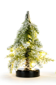 You will find many places to decorate with our battery-powered Lit Mini Tree!  This tree has been flocked to look like it has been snowing all day.  It will be the perfect accent for your holiday decorations this year!  4.5"w x 4.5"d x 8"h  Requires 2 AA Batteries, not included.