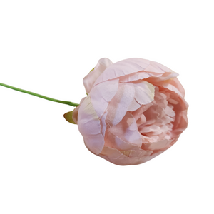 Brighten up your day with a beautiful pink peony stem!

Approximately 3" W x 10.5" H