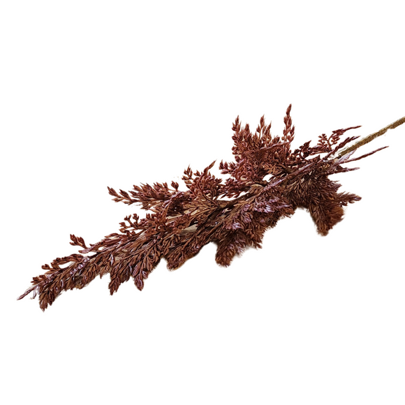 You'll love the color and style of this wine pampas grass spray! 

approximately 4