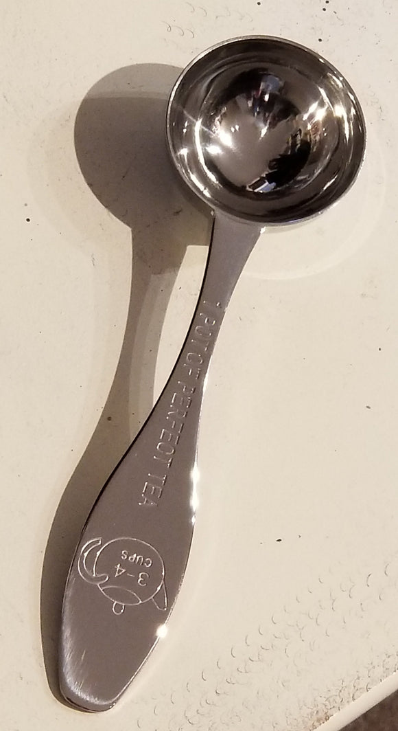 a stainless steel spoon that has 