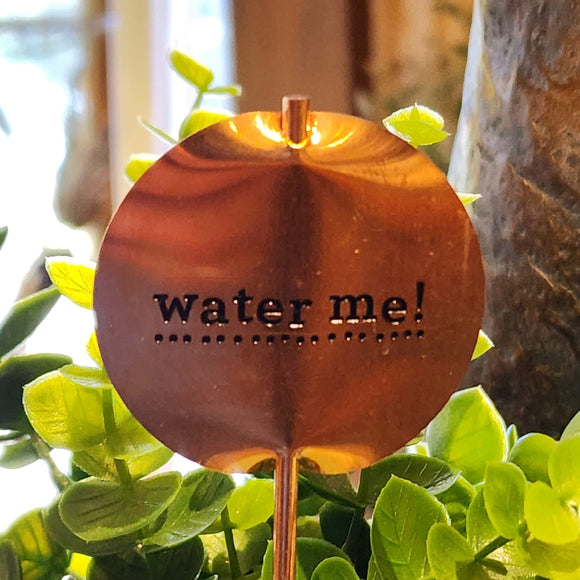 Bring extra sunshine to the garden with this lighthearted copper planter stake.  2