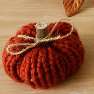 We love these cozy sweater pumpkins!  This one is a rich brick red color and has a wooden stem with a twine bow tied around it.  Perfect for adding some texture and color to your fall decor! 3