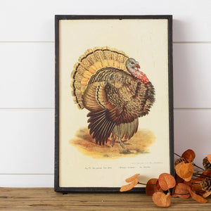 We immediately fell in love with this vintage-inspired turkey picture, and you will too!  It's the perfect size to hang and put into a table display or bookcase!  Wood, MDF, Paper 12" H x 8" W x 1" D