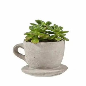 This small hand-cast cement teacup will be the cutest indoor or outdoor accessory this year!  Stick succulents or air plants in them for a bit of green!   4" x 3.5" x 2.75"
