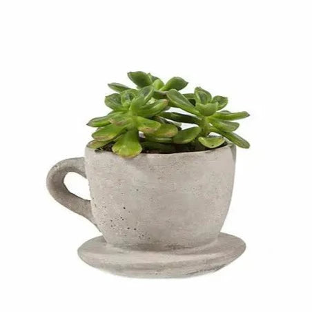 This small hand-cast cement teacup will be the cutest indoor or outdoor accessory this year!  Stick succulents or air plants in them for a bit of green!   4