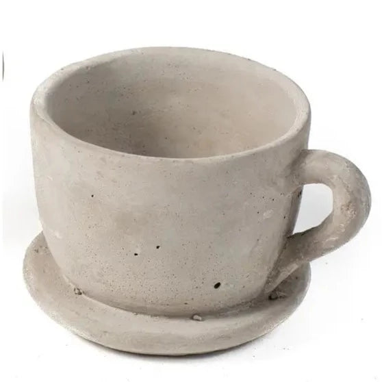 oversized teacup and saucer planter Cement Teacup Planter: Large – The Summer Kitchen